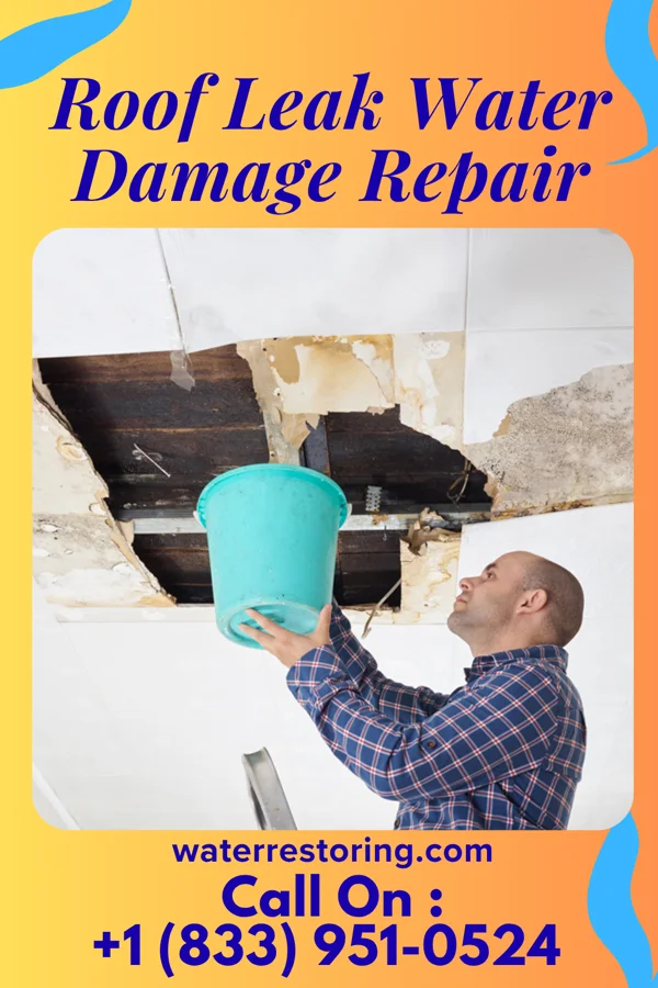 Roof Leak Water Damage Repair in Ina, IL